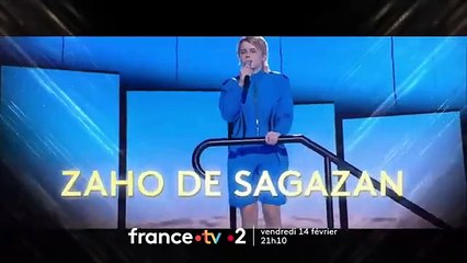 Les 40es Victoires de la musique - 14 février