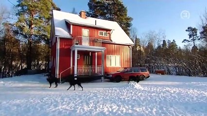 Grannfejden S03E04 (Munkfors)