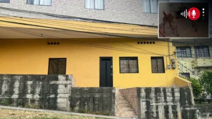 Denuncian abandono de más de 20 perros en una vivienda de Medellín: "ayuda urgente"