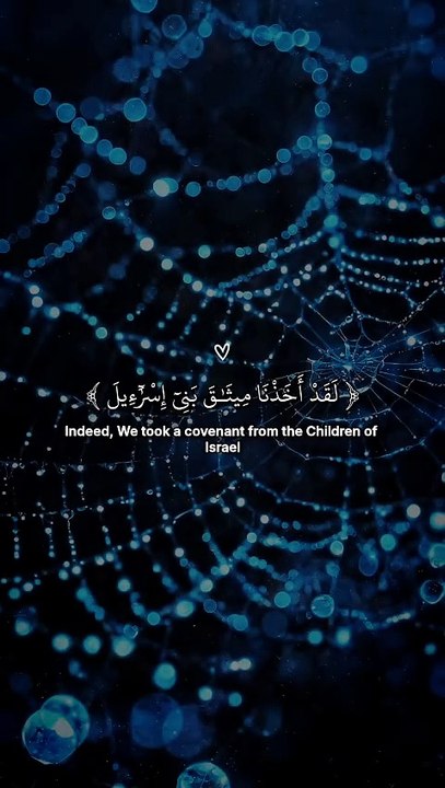 تلاوہ جمیلة القارئ عبدالرحمن مسعد 🖤|| راحه_نفسيه ✨️
