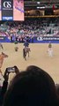 Hilarious drama: Horse runs loose at London International Horse Show