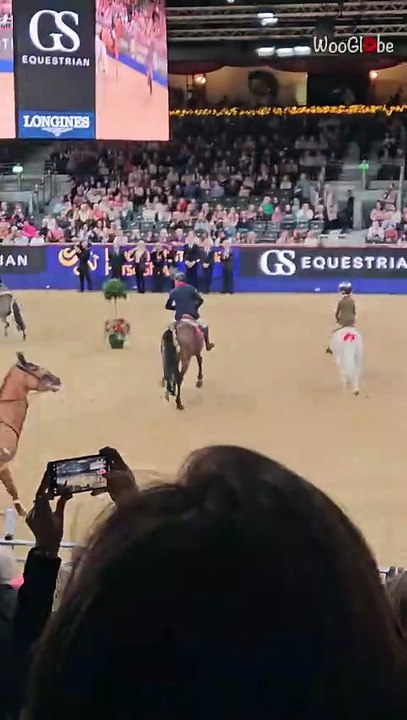 Hilarious drama: Horse runs loose at London International Horse Show