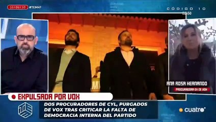 Intervención de Ana Rosa Hernando en 'Todo es mentira'