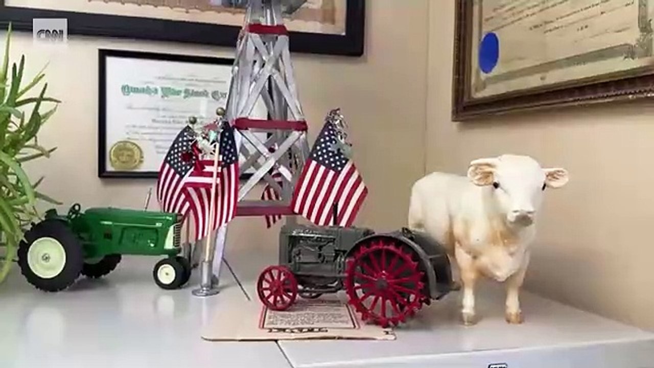 'If I go back to Honduras, they will kill me': Woman seeking asylum worries Trump will deport her