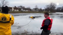 Indianapolis firefighters rescue dog from frozen pond