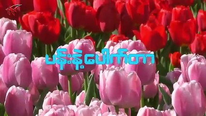 မြန်မာကားရုပ်ရှင်အကြောင်းအရာများနှင့် ဇာတ်လမ်းကောင်းများ 📽️