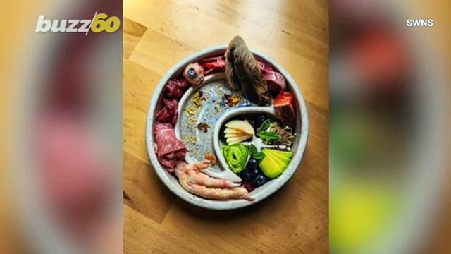 You Have to Check Out These Amazing Meals This Pet Owner Makes Her Dog!