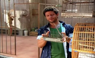 Lisbela e o Prisioneiro 2003 - FILME COMPLETO