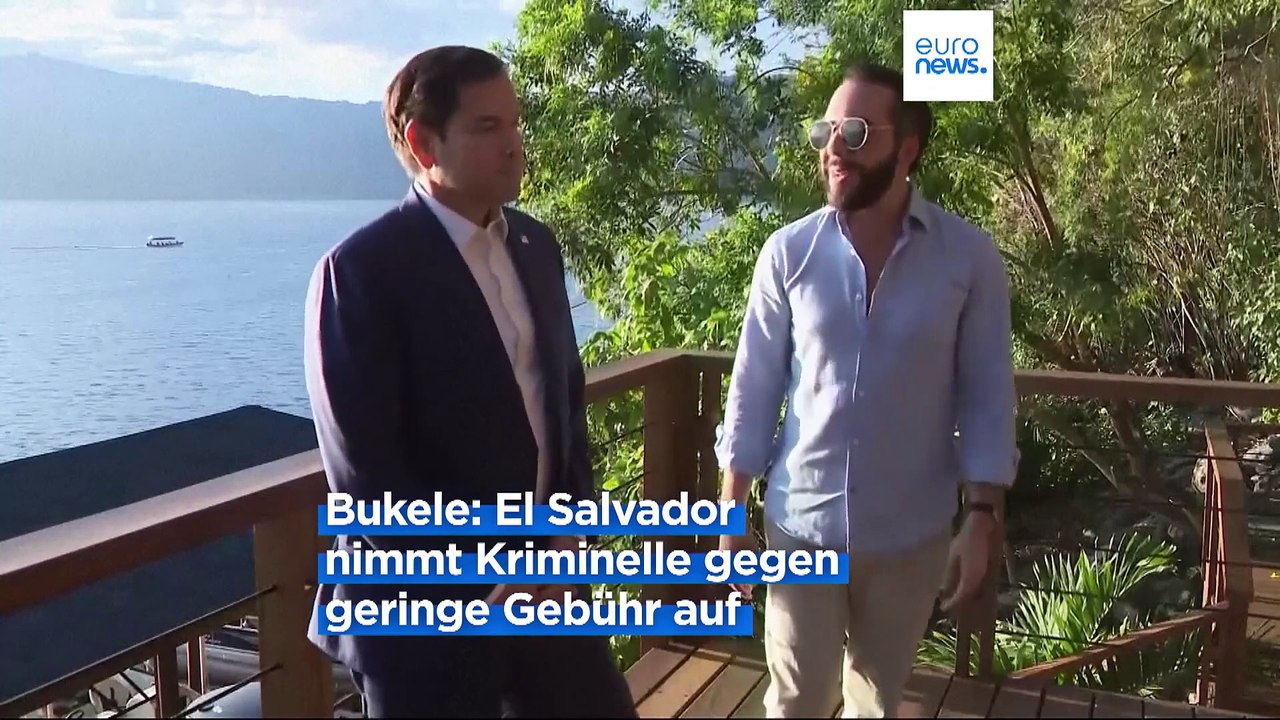 "Tolle Idee": Musk begrüßt Abschiebung von Migranten und Kriminellen US-Bürgern nach El Salvador