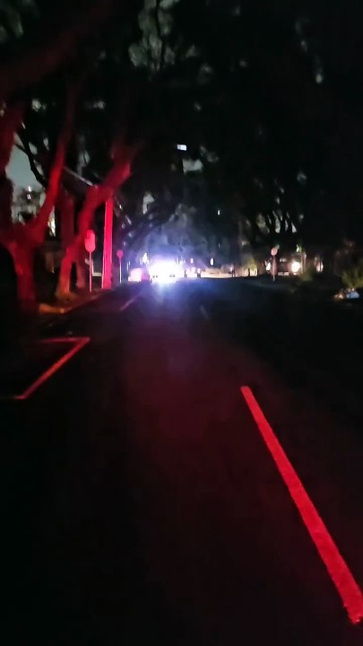 Árvore cai em Curitiba por causa das chuvas e bloqueia saída de ambulâncias