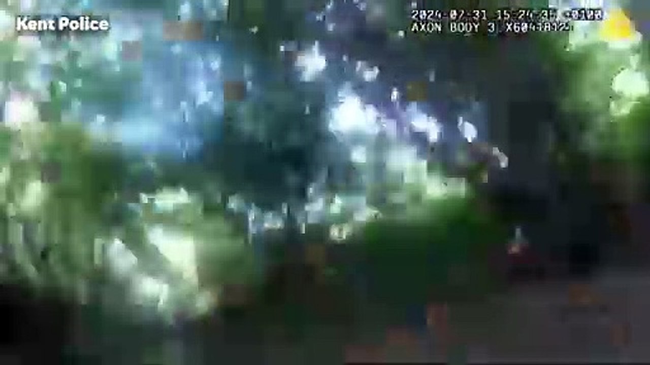 Domestic abuser caught after police dog chase through woodland river