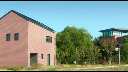 A Cute Girl Finds Herself living With 5 Boys Who Compete For Her Love