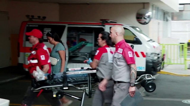 tn7-Cruzrojista: “El niño lo iba a acariciar y el perro lo atacó en varias ocasiones”-040225