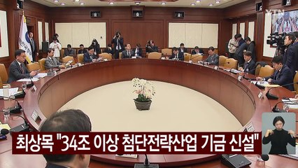 최상목 "34조 이상 첨단전략산업 기금 신설" / YTN