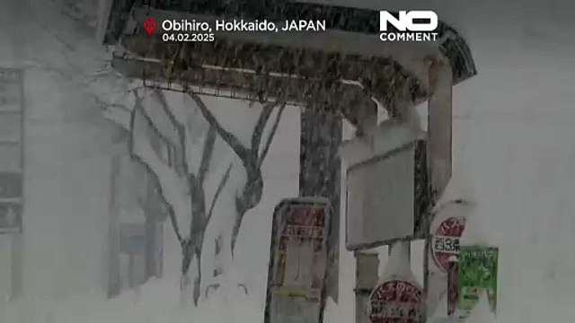 تصاویری از بارش بی‌سابقه برف در ژاپن و اختلال در رفت و آمد شهروندان