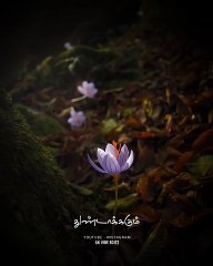 கவலை நம்மை சிலநேரம் கூறு போட்டு துண்டாக்கும் 🤩✨ Tamil  Motivation Song ✨ WhatsApp Status 💫🕊️✨