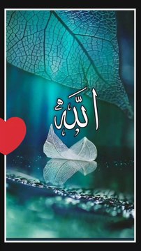 قرآن اور سنت رسول صلی اللہ علیہ وسلم کو چھوڑنے والوں کا انجام😢😓 اور جس دن (ناعاقبت اندیش) ظالم اپنے ہاتھ کاٹ کاٹ کھائے گا (اور) کہے گا کہ کاش میں نے رسول صلی اللہ علیہ وسلم کے ساتھ رستہ اختیار کیا ہوتا۔ہائے شامت کاش میں نے فلاں شخص کو دوست نہ بنایا ہوتا