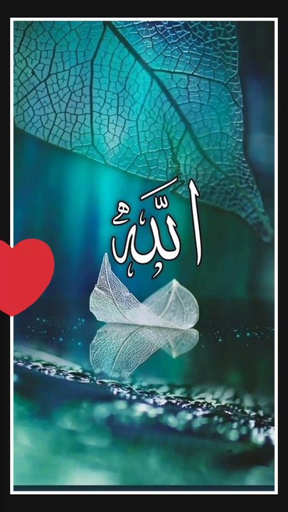 قرآن اور سنت رسول صلی اللہ علیہ وسلم کو چھوڑنے والوں کا انجام😢😓 اور جس دن (ناعاقبت اندیش) ظالم اپنے ہاتھ کاٹ کاٹ کھائے گا (اور) کہے گا کہ کاش میں نے رسول صلی اللہ علیہ وسلم کے ساتھ رستہ اختیار کیا ہوتا۔ہائے شامت کاش میں نے فلاں شخص کو دوست نہ بنایا ہوتا