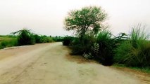 KT Mumtaz Road - Village Phulpota - 4K Video - Ultra HD - Naudero - Larkana - Sindh - Pakistan