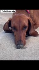 There are days when I'm bored and don't want to do anything