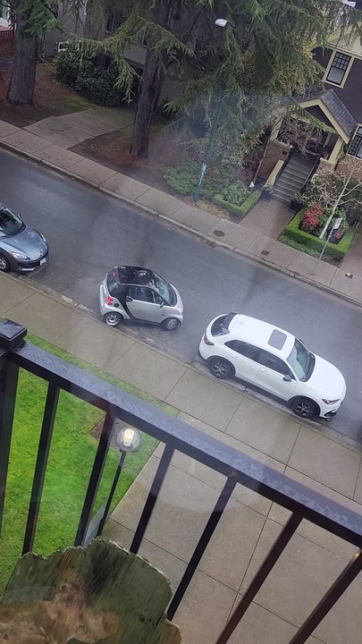 Onlookers Laugh as Driver Fails to Park Small Car in Big Parking Spot
