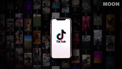 The Incredibly Satisfying Downfall of TikTok