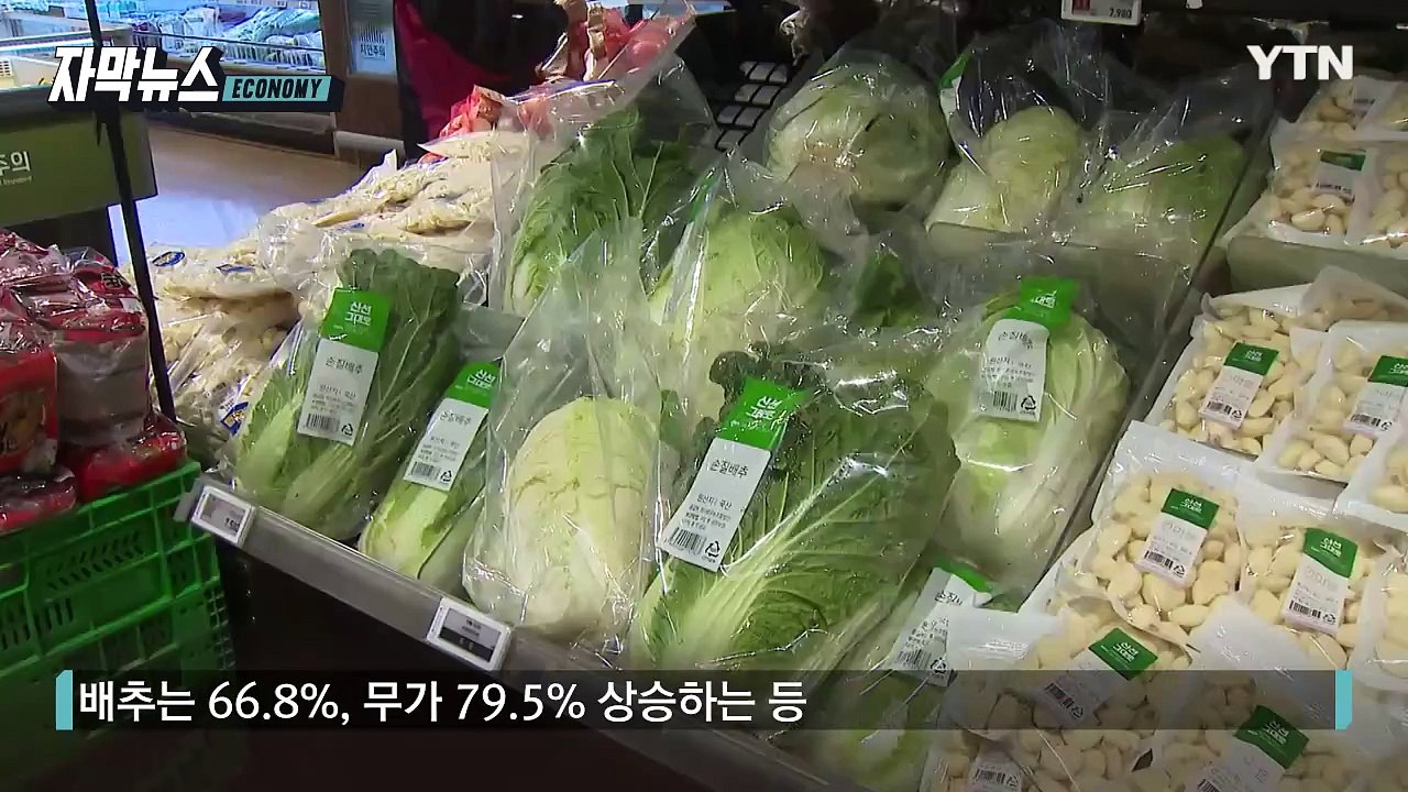 [자막뉴스] 물가 끝없이 '고공행진'...한숨 깊어지는 서민들 / YTN