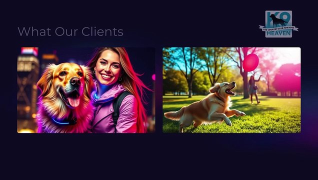 Boarding Kennels Auckland at K9 Heaven