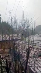 Kepsut Beyaza Büründü: Yılın İlk Karı Yağdı!