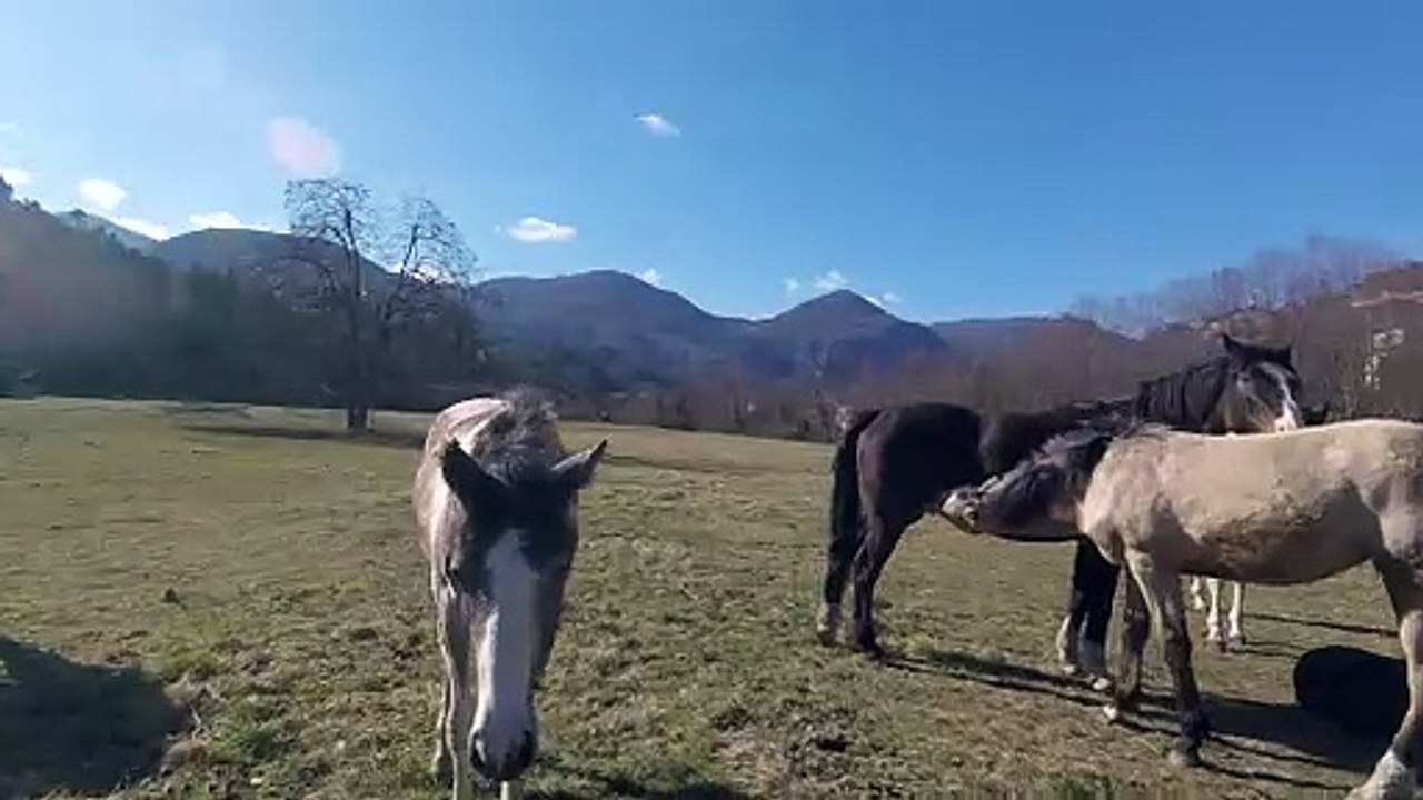 Voici ma nouvelle vidéo