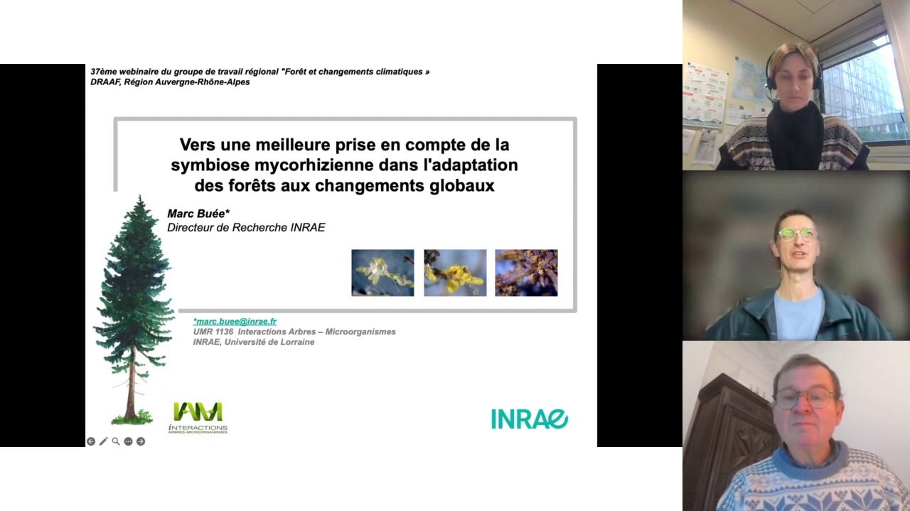 Webinaire #37 forêt et changements climatiques