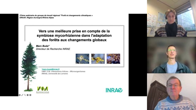 Webinaire #37 forêt et changements climatiques
