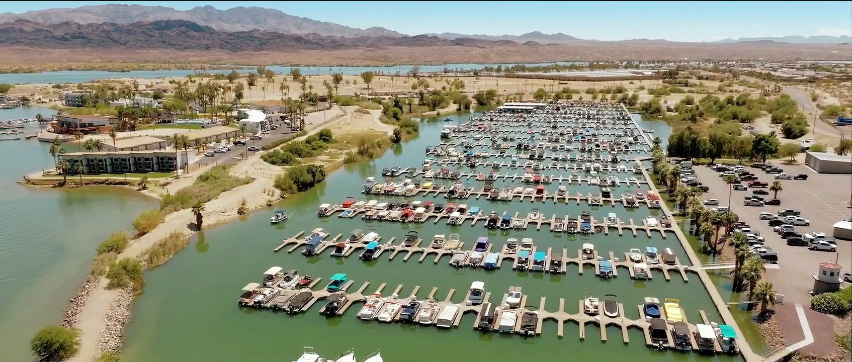 Shark Warning Trailer DF