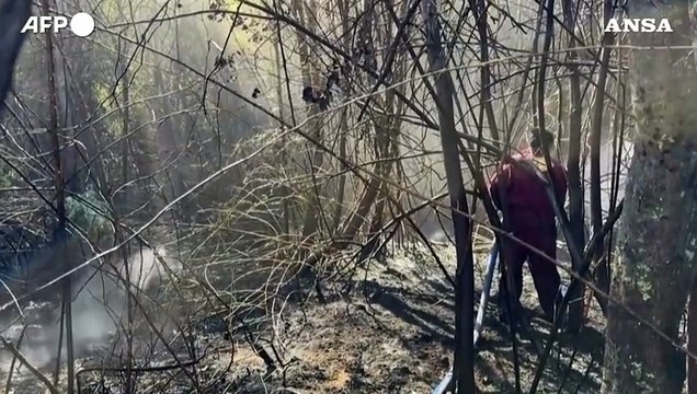 Argentina, la Patagonia in fiamme: bruciati circa 3.000 ettari di bosco