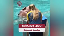 رد فعل خجول للغاية بعد قبلة