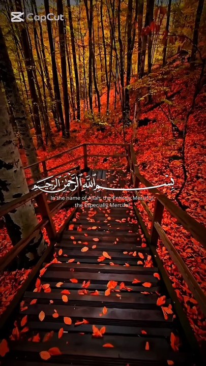 Surah Ikhlas With Translation
