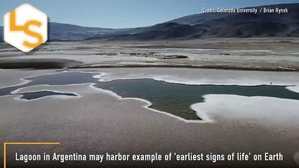 Discovery Of Lagoon In Argentina That Could Provide 'Earliest Signs Of Life' On Earth