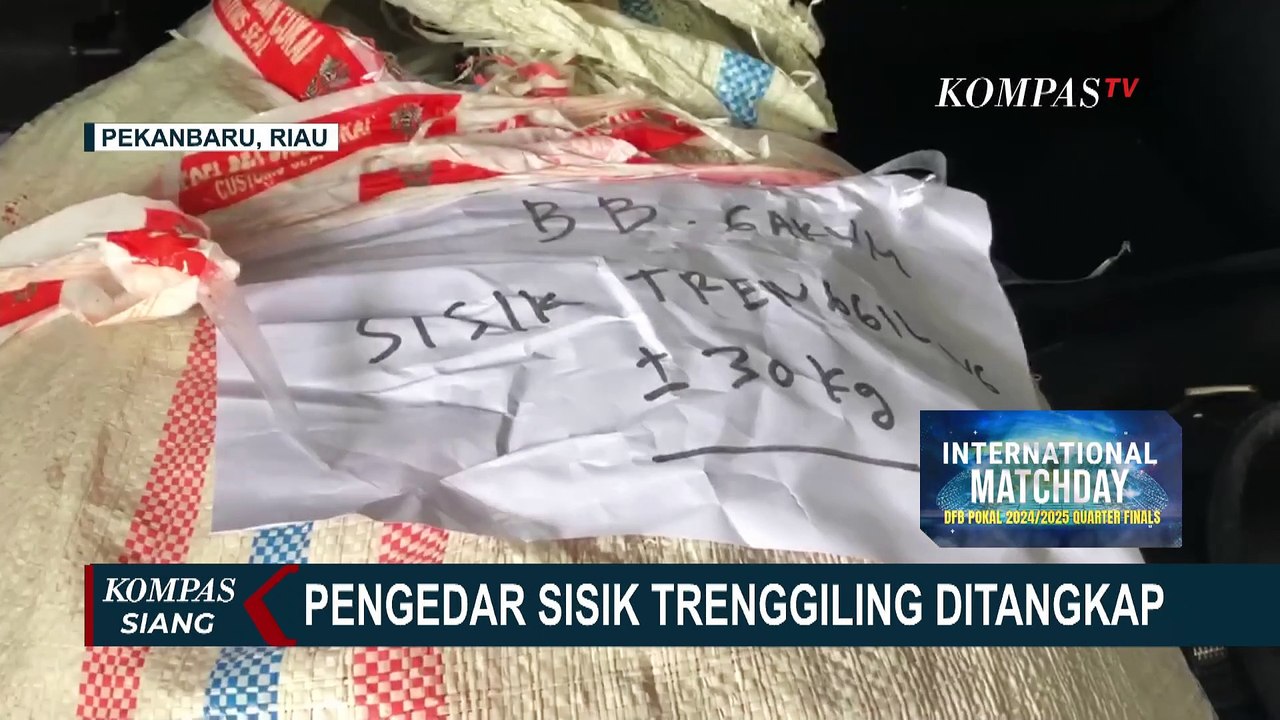 Pengedar Sisik Trenggiling Ditangkap, Mengaku Sudah Beraksi 6 Kali