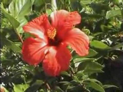 Escalade à Kalymnos