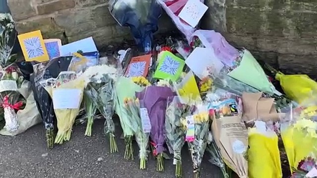 Teenager charged with murder of Harvey Willgoose, 15, after Sheffield school stabbing