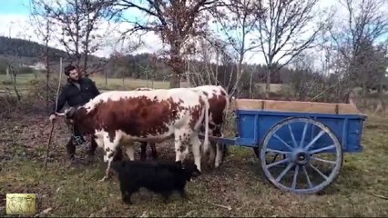 Lucie et Maxime bois 01 2025