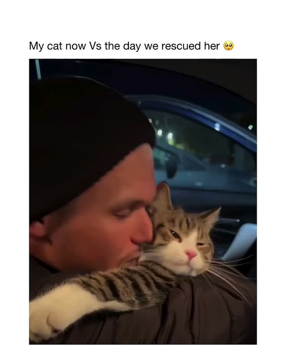 🐾 Prepare for a cuteness overload with our latest video featuring the most