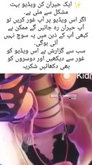 Human body islamic knowledge