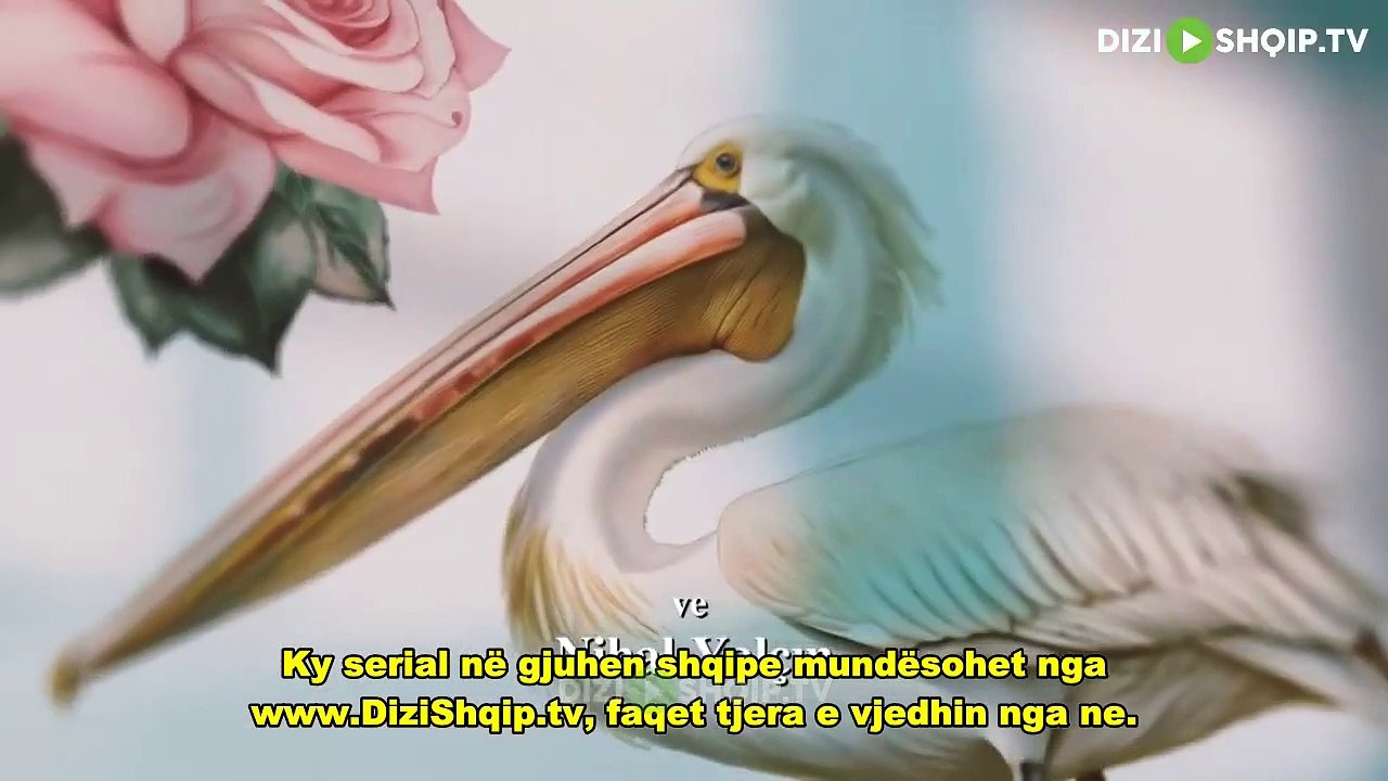 bah97