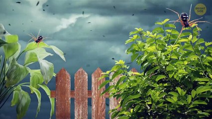 Scientists Found the Strangest Natural Phenomena on Earth