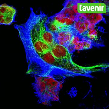 Neuroblastome cancer des enfants