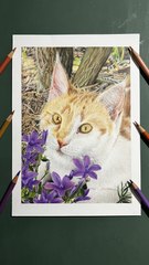 Photo ou Dessin Réaliste de Chat ? Découvrez le Crayon de Couleur 🎨
