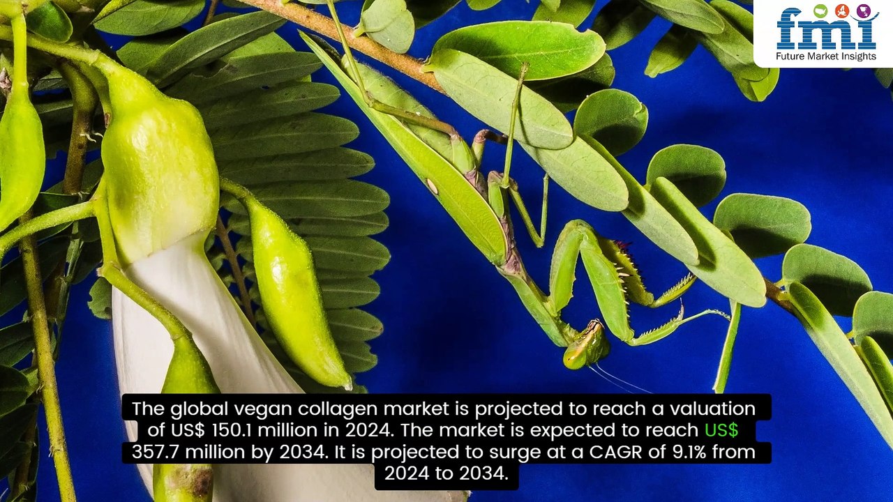 Vegan Collagen Market Analysis: Key Drivers, Challenges, and Growth Projections