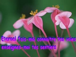 éternel fais-moi con tes voies_0001