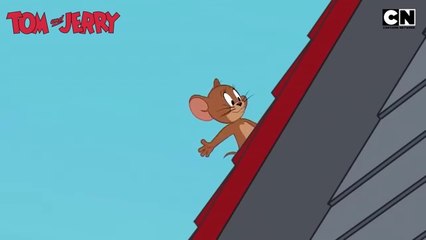 Tom_and_Jerry_😺🐭